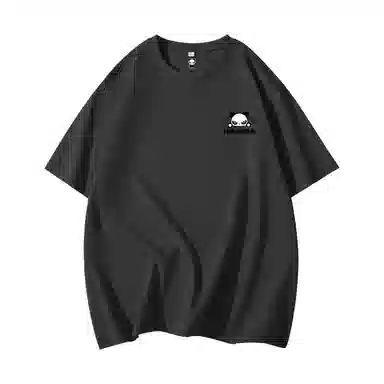 HIPANDA T