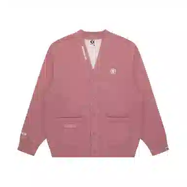 Aape V