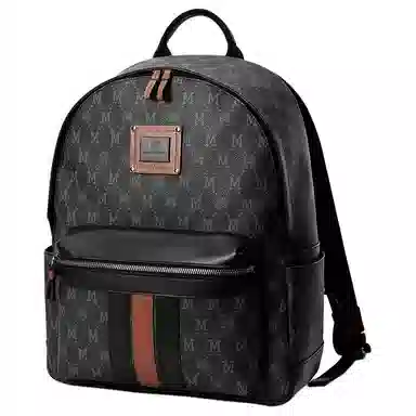 FION Mountain Journey Backpack