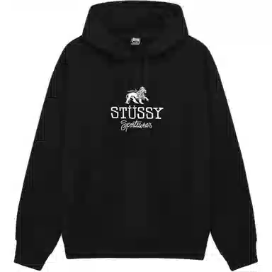 Stussy FW24 Sportswear Hoodie