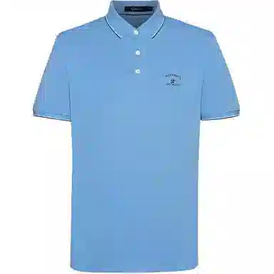 Satchi LogoPolo