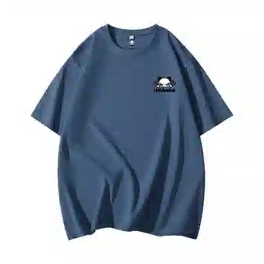 HIPANDA T
