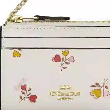 COACH Skinny Id Case 11