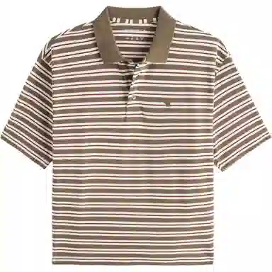 AbercrombieFitch Polo