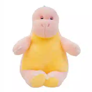 30cm40cm