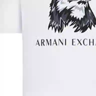 ARMANI EXCHANGE SS22 LogoT