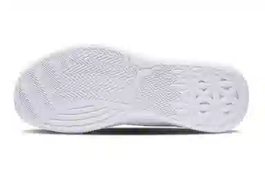 PUMA Clyde Hardwood Team