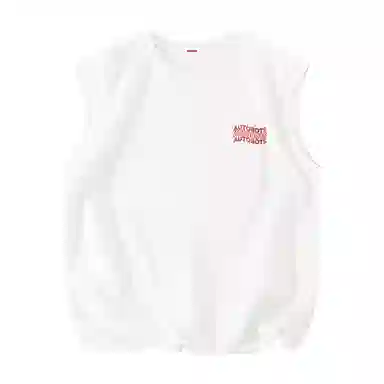 TRANSFORMERS insTcityboy