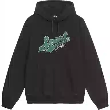 Stussy FW24 Satin Patch Oversized Hoodie