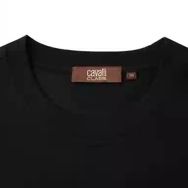 Cavalli Class T