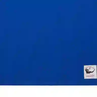 Mitchell Ness x NFL T