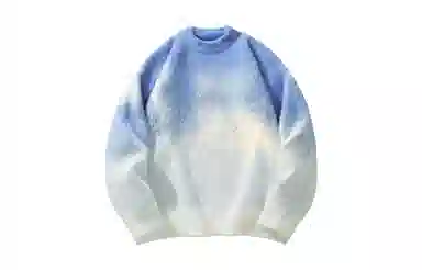 PAEFA Sweater