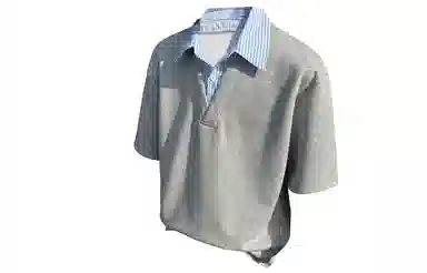 230PAINT STAIN PoloT