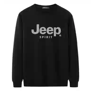 JEEP SPIRIT T