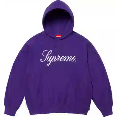 Supreme FW24 Embroidered Script Hooded Sweatshirt