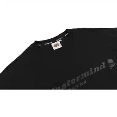 Dickies SS23 LogoT