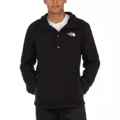 THE NORTH FACE Parkview 14 Snap Fleece