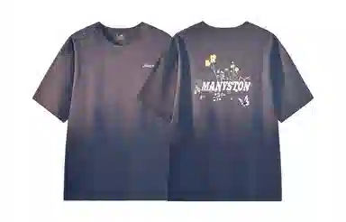 MANYSTON logoT