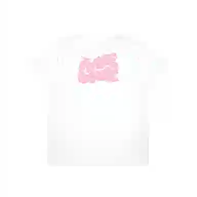 Aape T