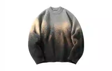 PAEFA Sweater