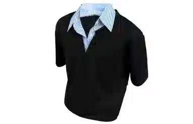 230PAINT STAIN PoloT