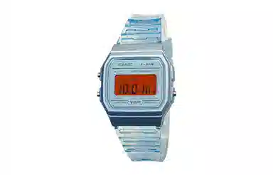CASIO 200 F-91WS-2