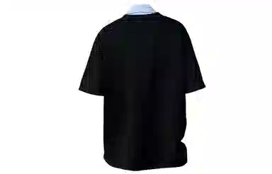 230PAINT STAIN PoloT