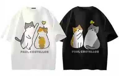 PAUL COSTELLOE logoT