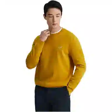 迪柯尼 纯色简约舒适休闲毛衣 男款