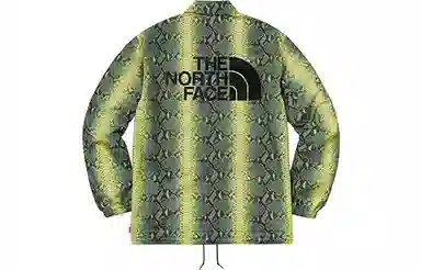 Supreme x The North Face Snake Print Jacket Green