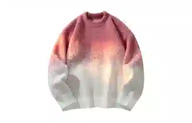 PAEFA Sweater