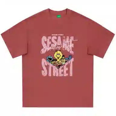 SESAME STREET T