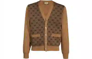 Gucci Sweater Brown