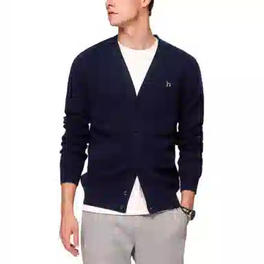 HAZZYS v
