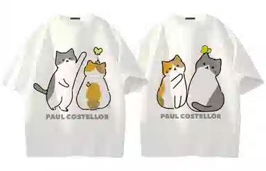 PAUL COSTELLOE logoT