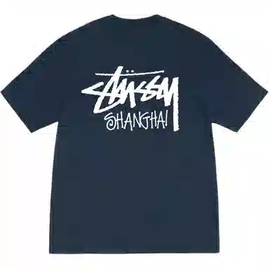 Stussy SS25 logoT