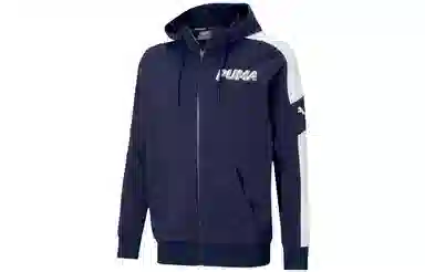 Puma Modern Logo