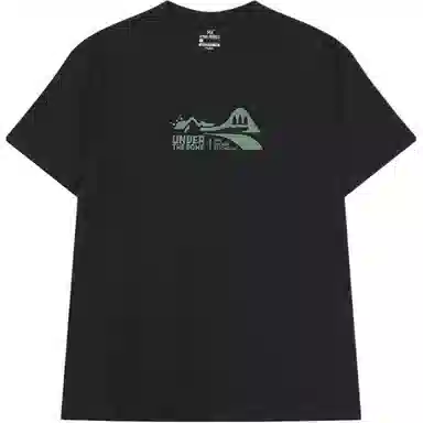 361 T