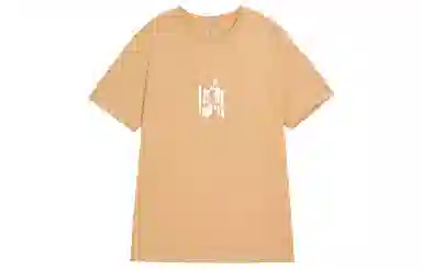 Jordan Brand T