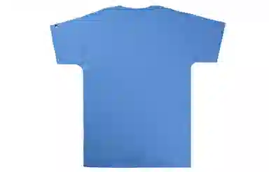 Champion T