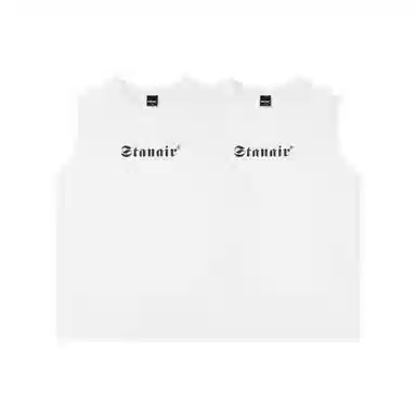 STANAIR Logo 2