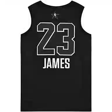 Jordan NBA LeBron James All-Star Edition Authentic Jersey AU