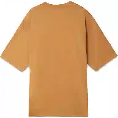 levis T