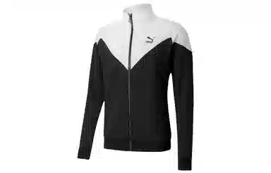 Puma Iconic logo