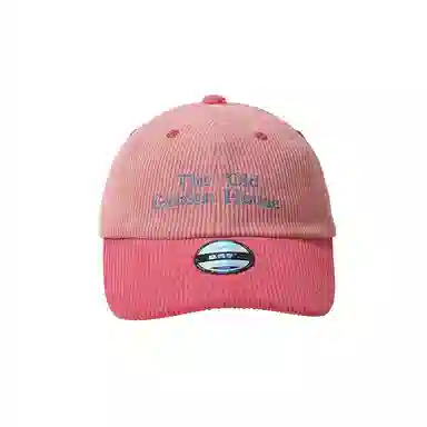 杨同学 百搭韩版灯芯绒显脸小 棉 鸭舌帽 男女同款情侣款