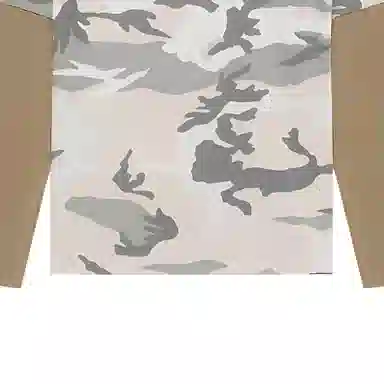 Givenchy FW22 Camo Print T-Shirt
