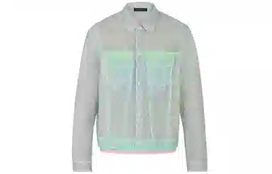 LOUIS VUITTON Monogram