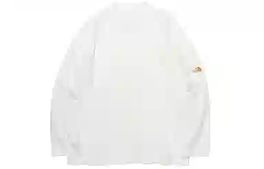 THE NORTH FACE PURPLE LABEL T