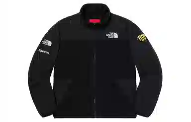 Supreme x The North Face RTG Fleece Jacket