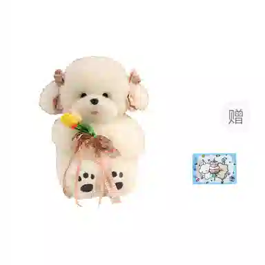40cm